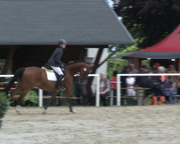 Reitturnier Fröndenberg 2019