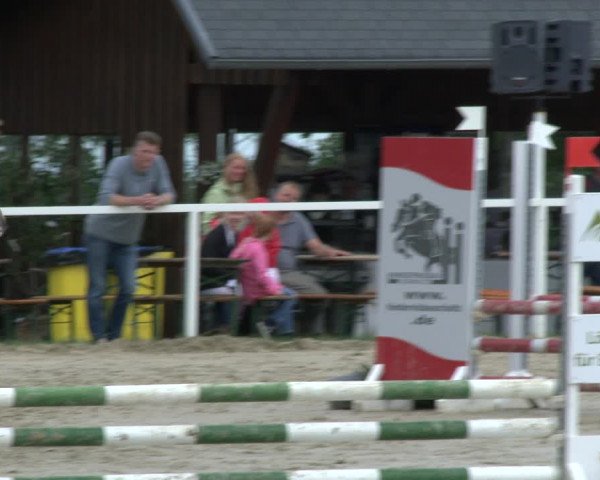 Reitturnier Fröndenberg 2019