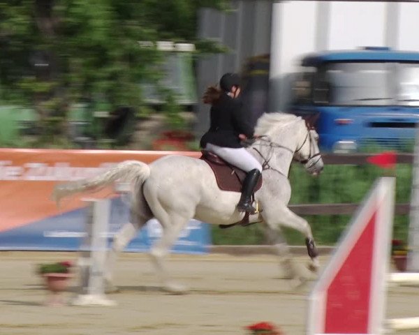 Reitturnier Schönfeld 2019