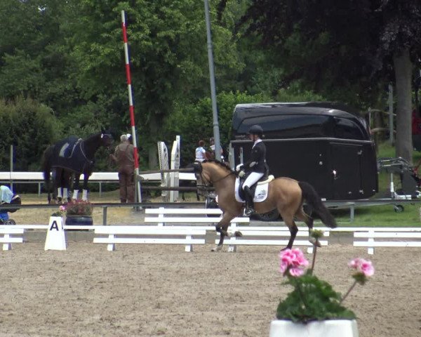 Reitturnier Fröndenberg 2019