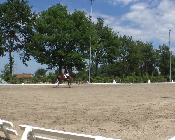 Reitturnier Fröndenberg 2019