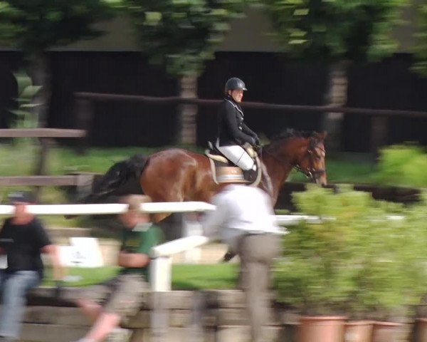 Reitturnier Schönfeld 2019