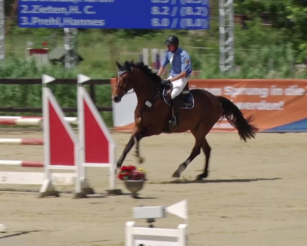 Reitturnier Schönfeld 2019