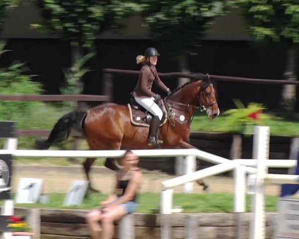 Reitturnier Schönfeld 2019