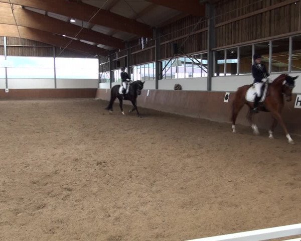 Reitturnier Fröndenberg 2019