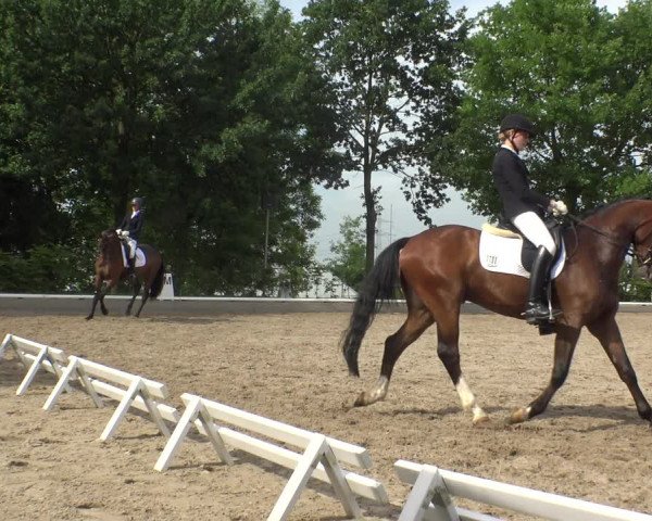 Reitturnier Fröndenberg 2019