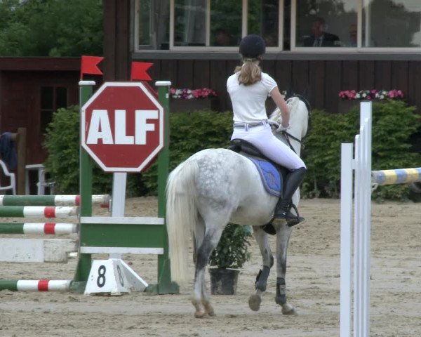 Reitturnier Fröndenberg 2019