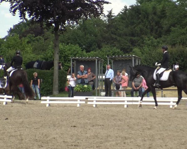 Reitturnier Fröndenberg 2019
