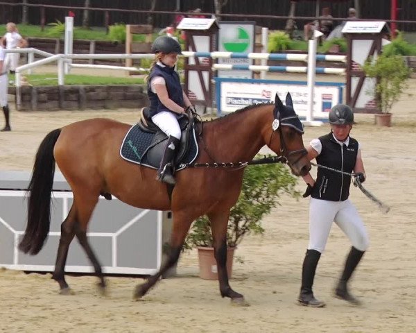 Reitturnier Schönfeld 2019