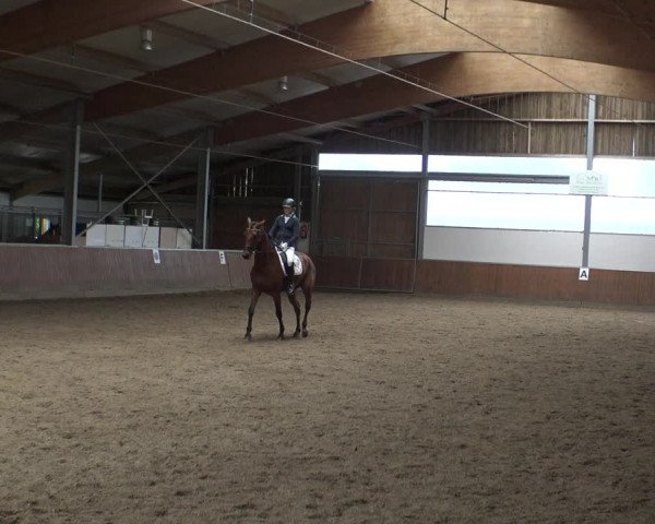 Reitturnier Fröndenberg 2019