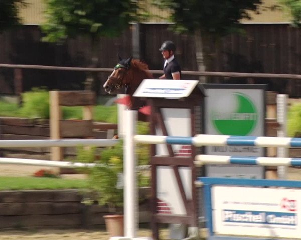 Reitturnier Schönfeld 2019