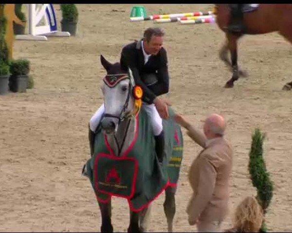 jumper Cornwell (Westphalian, 2010, from Cornado NRW)