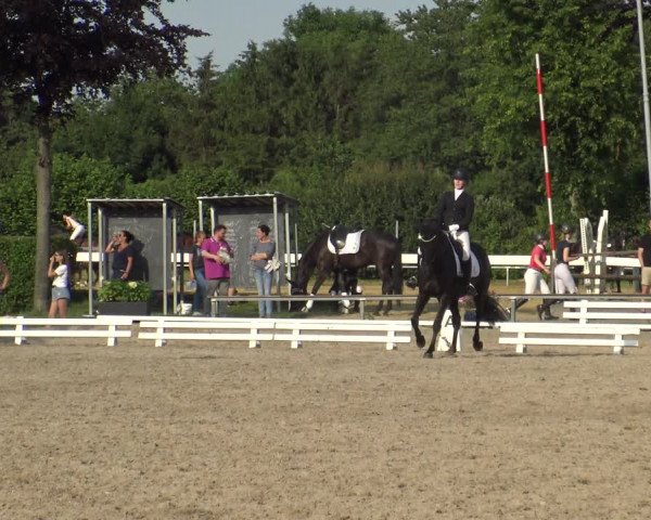 Reitturnier Fröndenberg 2019
