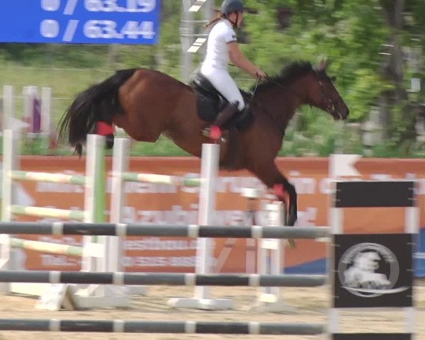 Reitturnier Schönfeld 2019