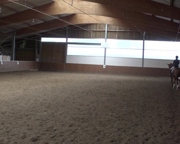 Reitturnier Fröndenberg 2019