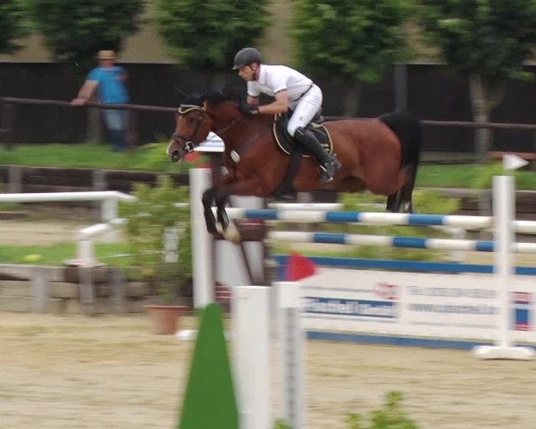 Reitturnier Schönfeld 2019