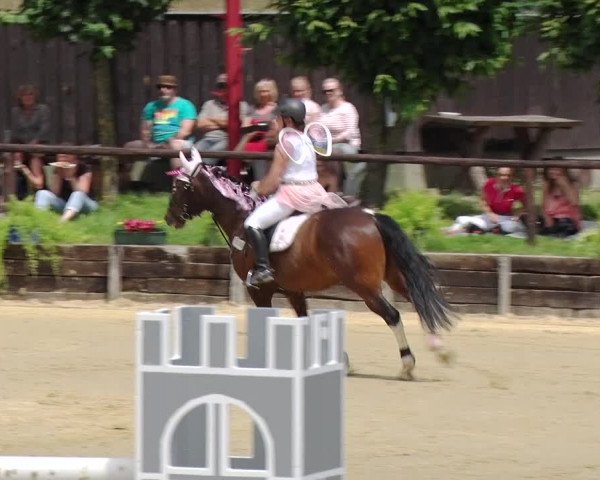 Reitturnier Schönfeld 2019
