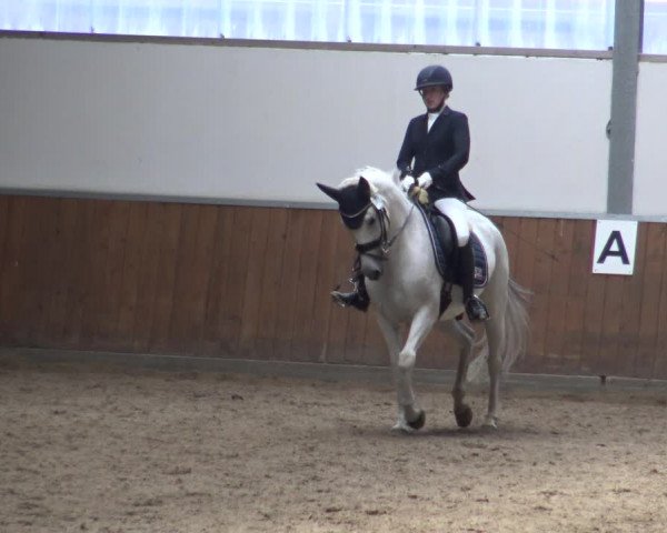 Reitturnier Fröndenberg 2019