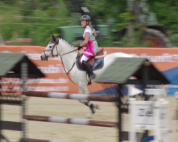 Reitturnier Schönfeld 2019