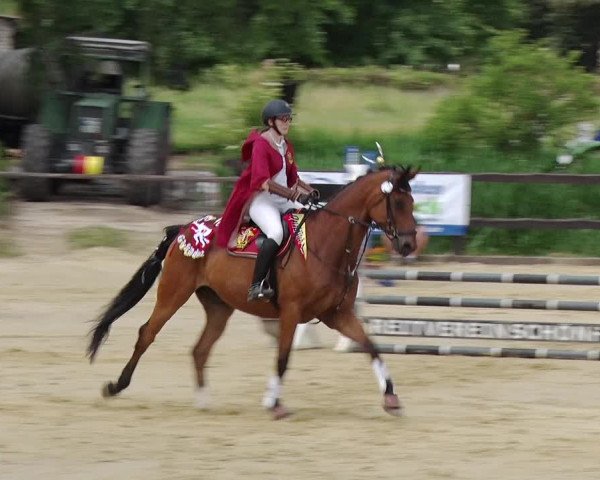 Reitturnier Schönfeld 2019