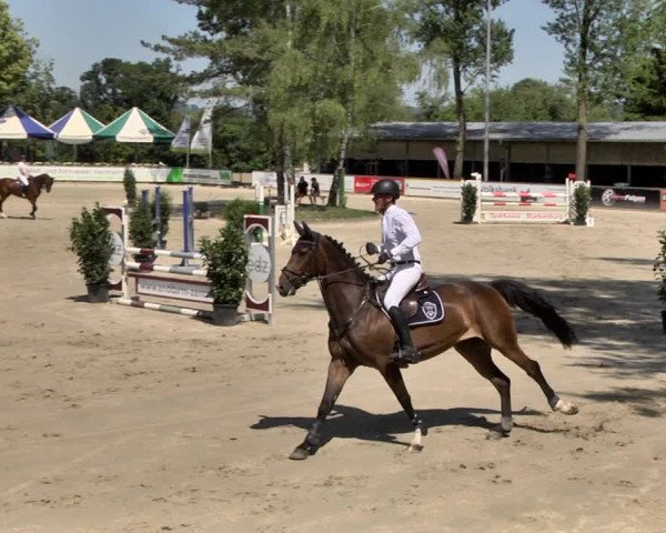 Reitturnier Viernheim 2019