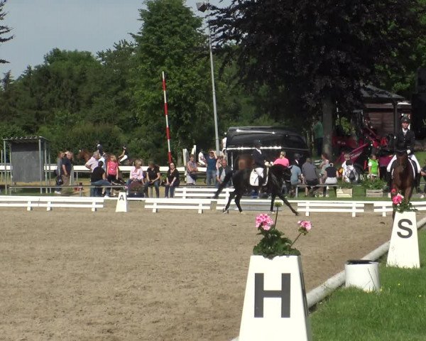 Reitturnier Fröndenberg 2019