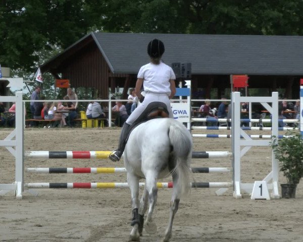 Reitturnier Fröndenberg 2019