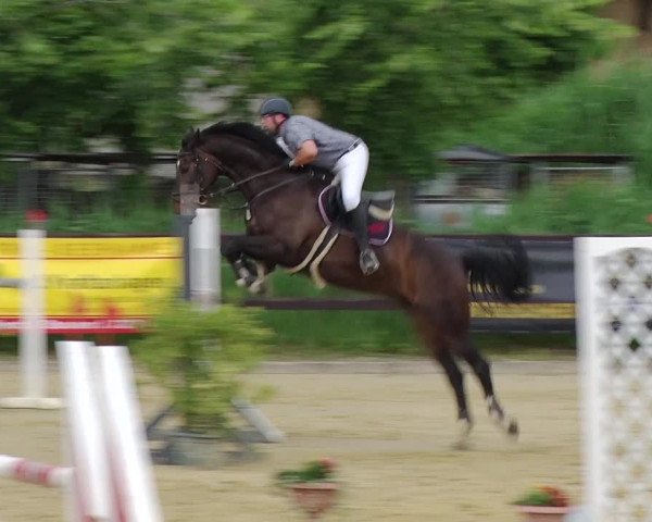 Reitturnier Schönfeld 2019