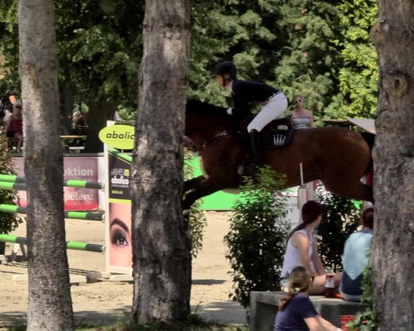 Reitturnier Viernheim 2019