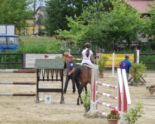 Reitturnier Schönfeld 2019
