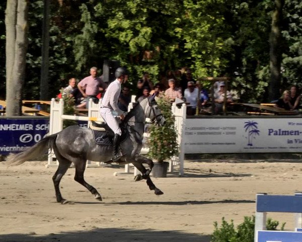 Reitturnier Viernheim 2019