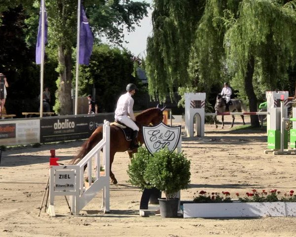 Reitturnier Viernheim 2019