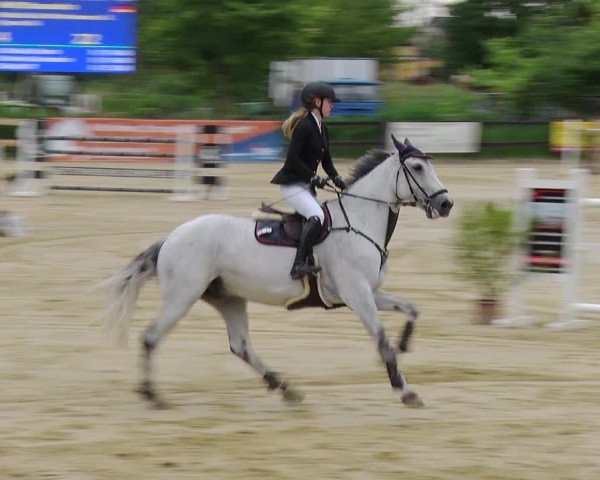 Reitturnier Schönfeld 2019