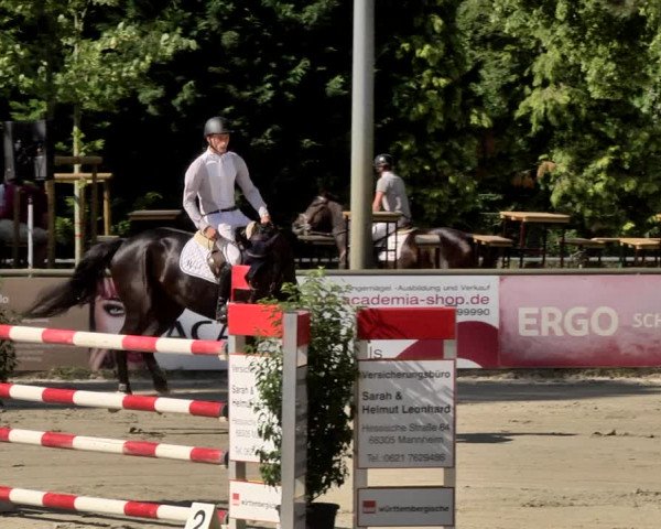 Reitturnier Viernheim 2019