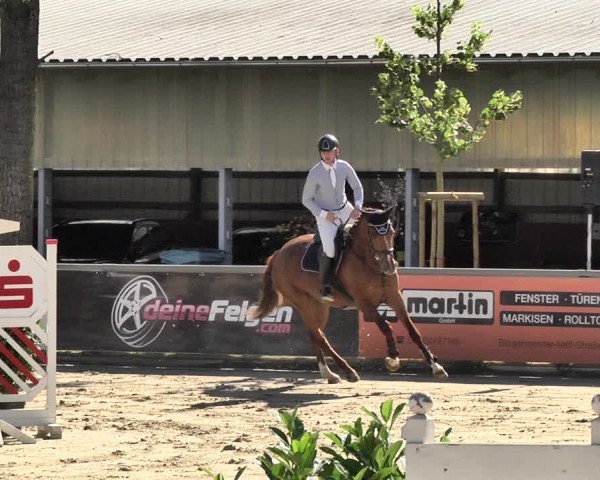 Reitturnier Viernheim 2019