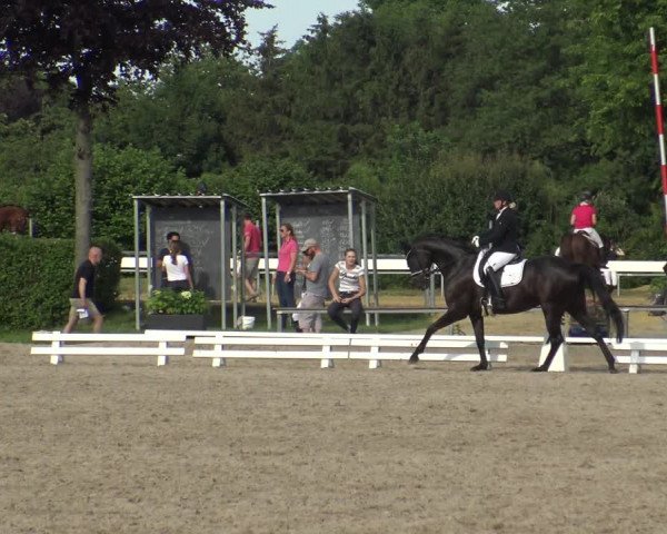 Reitturnier Fröndenberg 2019