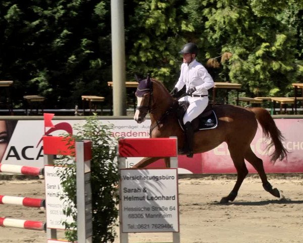 Reitturnier Viernheim 2019