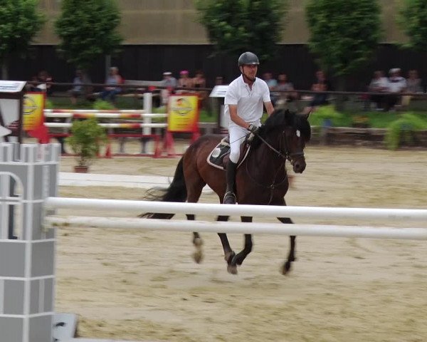 Reitturnier Schönfeld 2019
