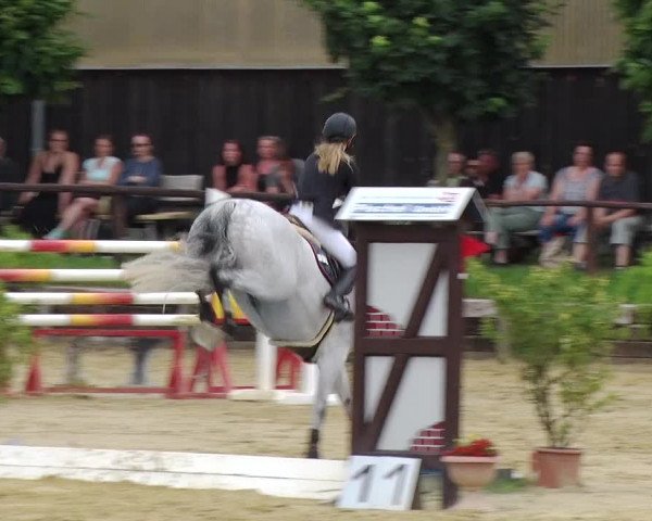Reitturnier Schönfeld 2019