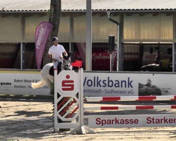 Reitturnier Viernheim 2019