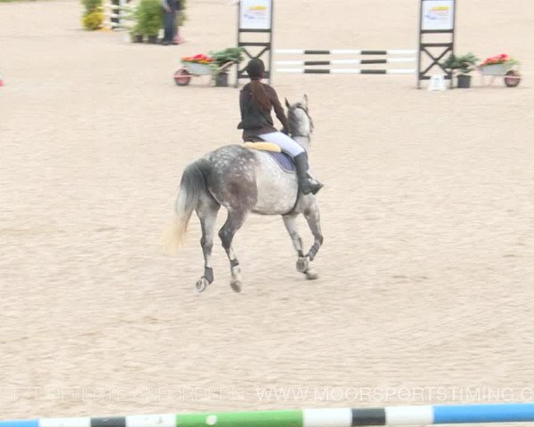 Reitturnier Plaffeien 2019