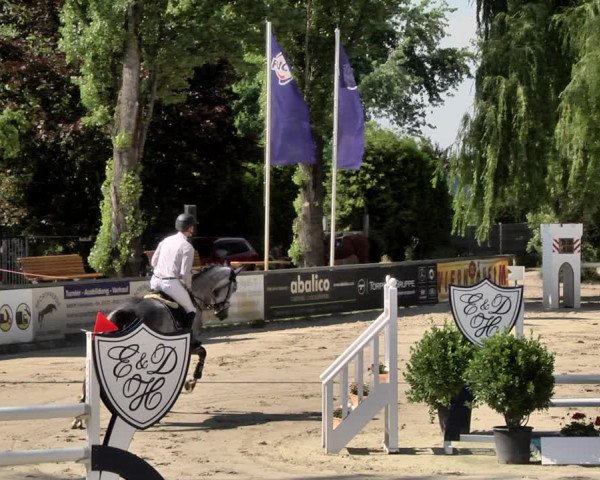 Reitturnier Viernheim 2019