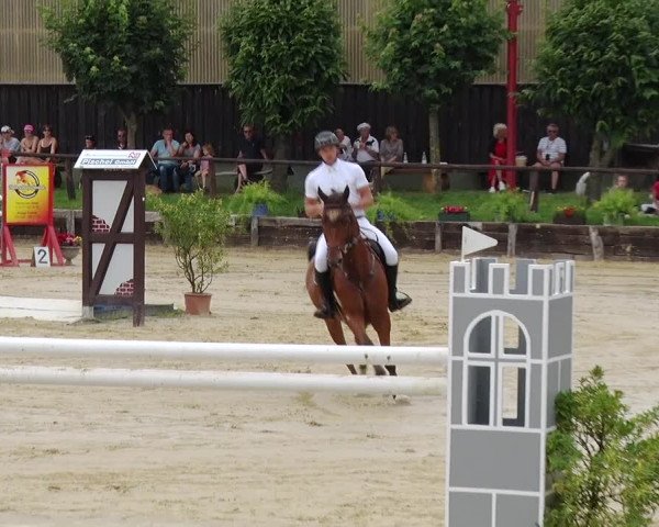 Reitturnier Schönfeld 2019