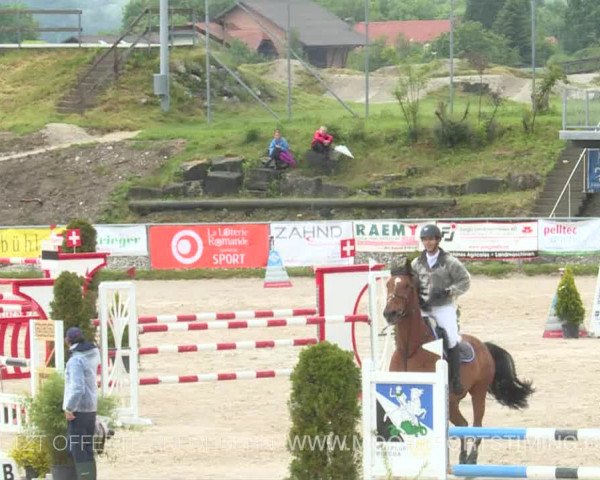 Reitturnier Plaffeien 2019