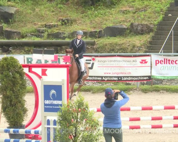 Reitturnier Plaffeien 2019