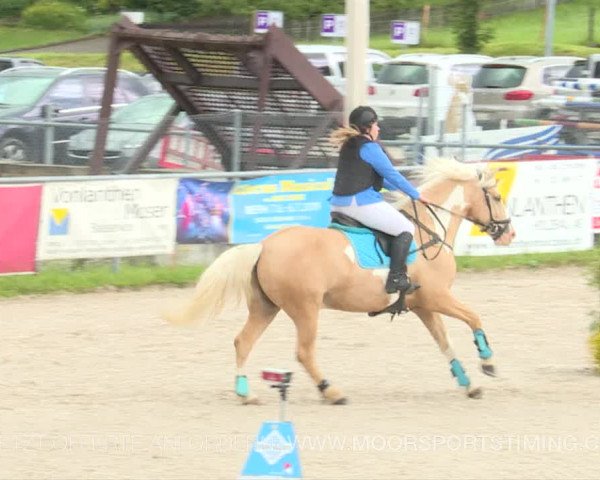 Reitturnier Plaffeien 2019
