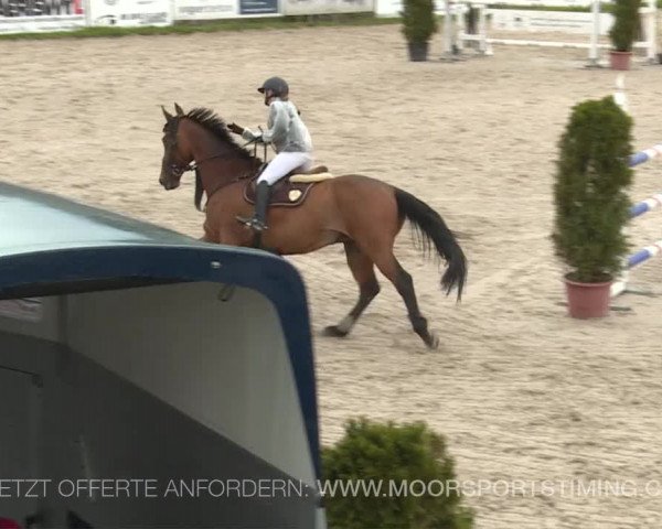 Reitturnier Plaffeien 2019
