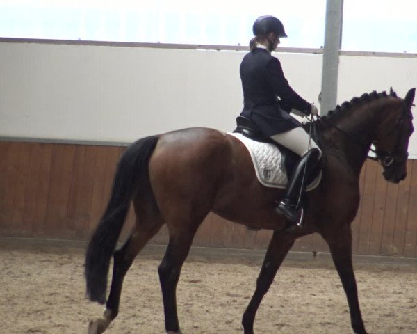 Reitturnier Fröndenberg 2019