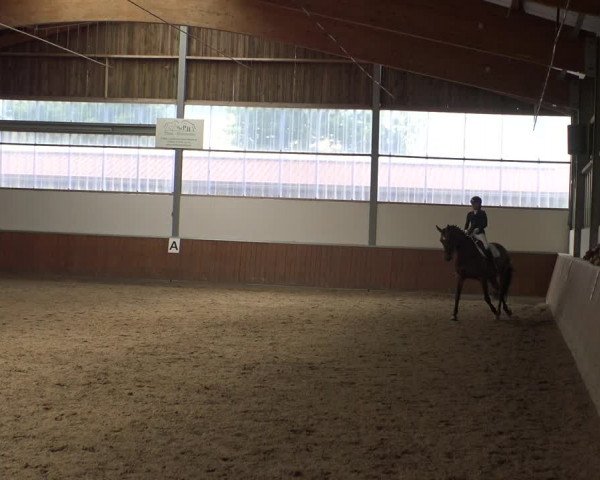 Reitturnier Fröndenberg 2019