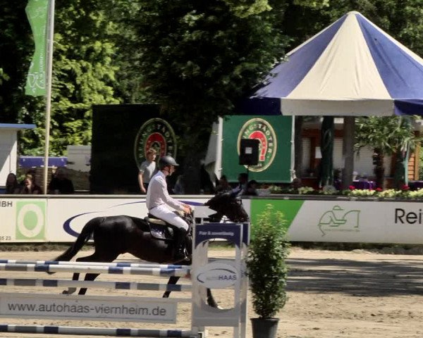 Reitturnier Viernheim 2019